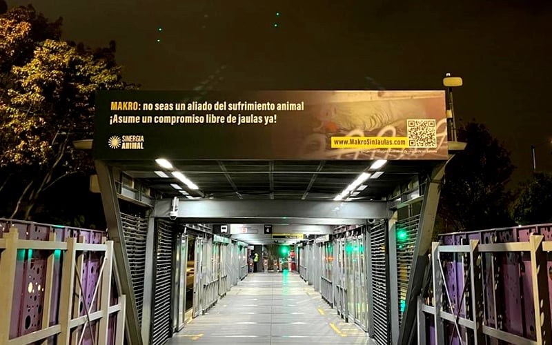 Servicio de Buses